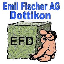 Firmenlogo der Firma Emil Fischer AG Dottikon in Hendschiken