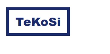 Firmenlogo: TeKoSi AG