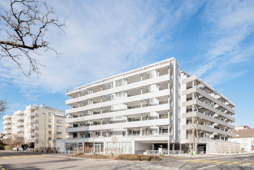 Objektbild: MFH Projekt Entenbad Schönegastrasse 29 8953 Dietikon