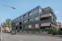 Objekt Vorschuabild: Neubau MFH Renggerstrasse 3